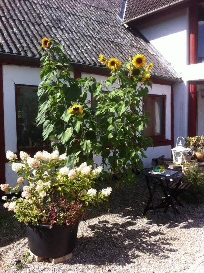 Praestogaard B&B 외부 사진