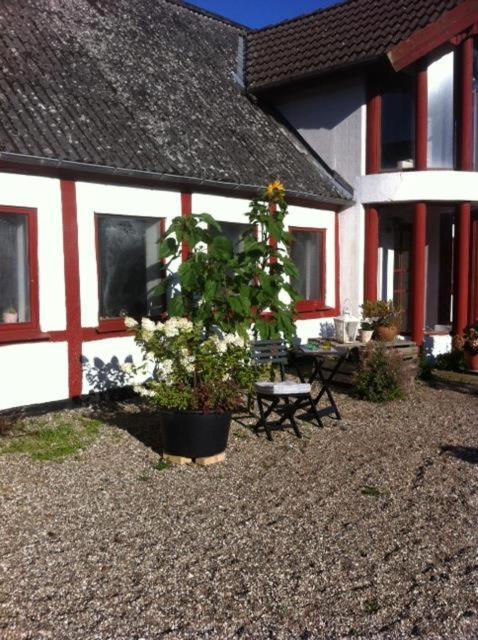 Praestogaard B&B 외부 사진