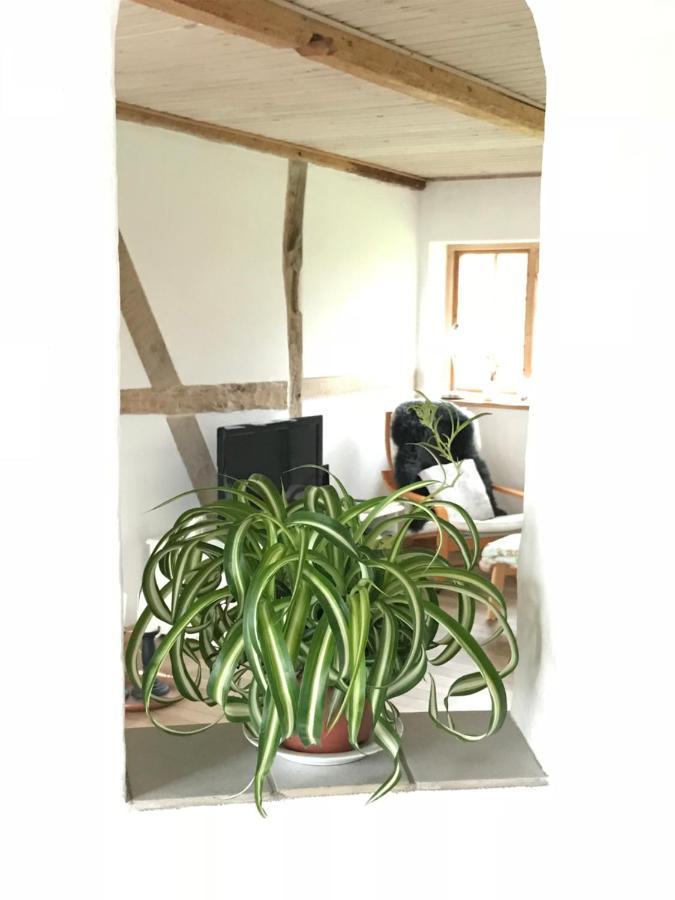 Praestogaard B&B 외부 사진
